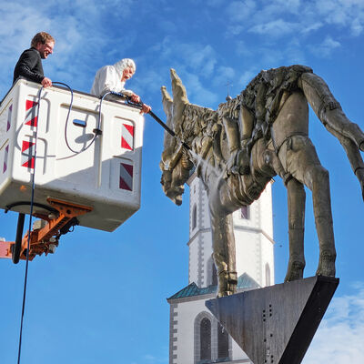 Auf einer Hebebühne befinden sich zwei Personen, darunter der Künstler Peter Lenk, der sein Eselsdenkmal vor der Silhouette des Kirchturms der Stadtpfarrkirche St. Martin in Biberach mit einem Wasserstrahl reinigt.