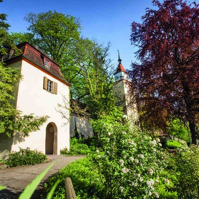 In the foreground green bushes, behind it the Hochwacht, a small house with an archway as a passage. In the background you can see the Gigelturm, a rectangular tower.