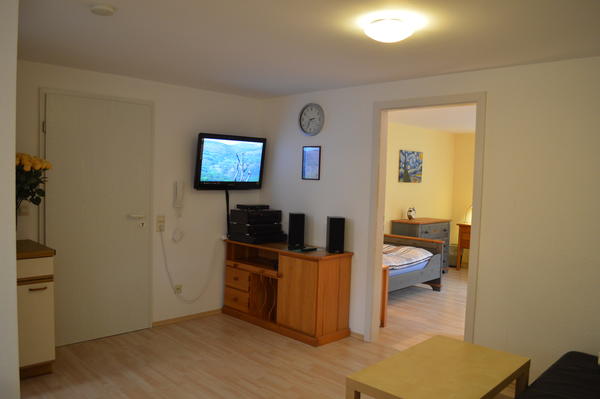 Wohnung mit Schrank, Fernseher an der Wand und Blick in das Schlafzimmer.