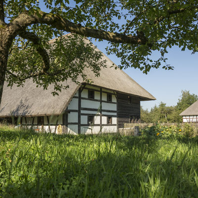An old half-timbered farmhouse with a deep reeddack stands on a lush green meadow.